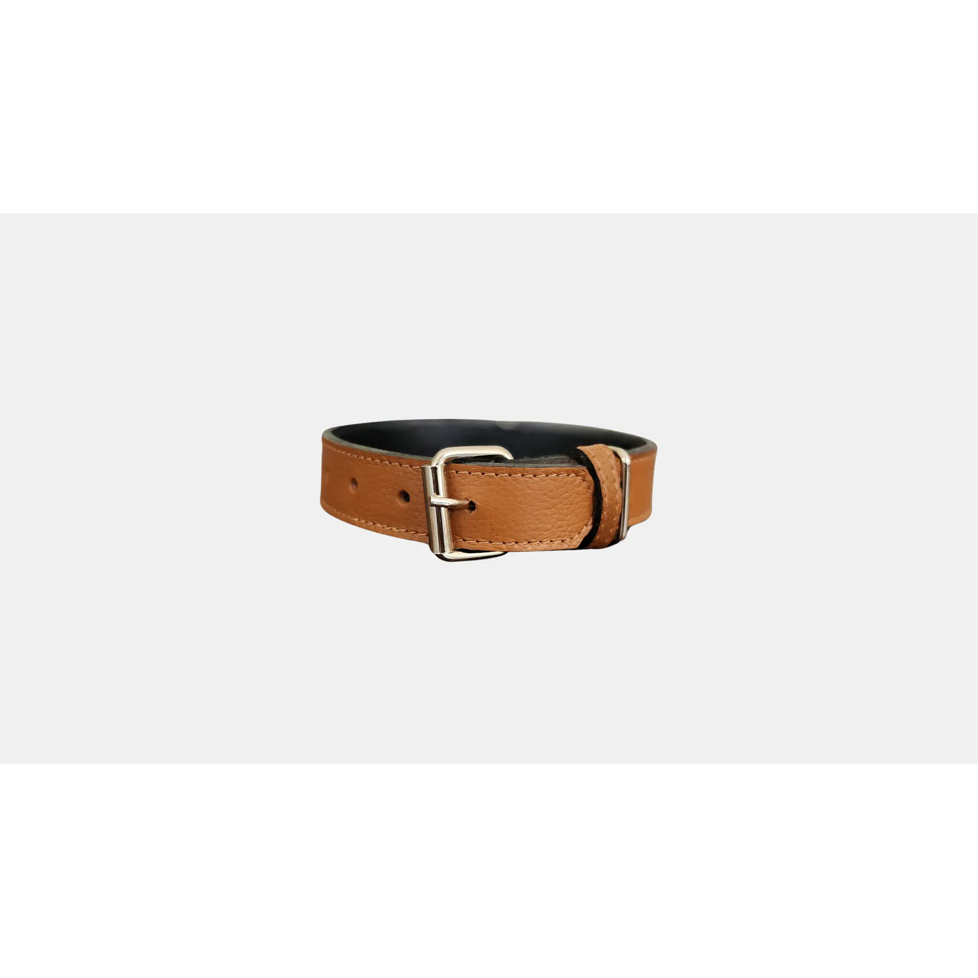 Collar Mascota Blu  1