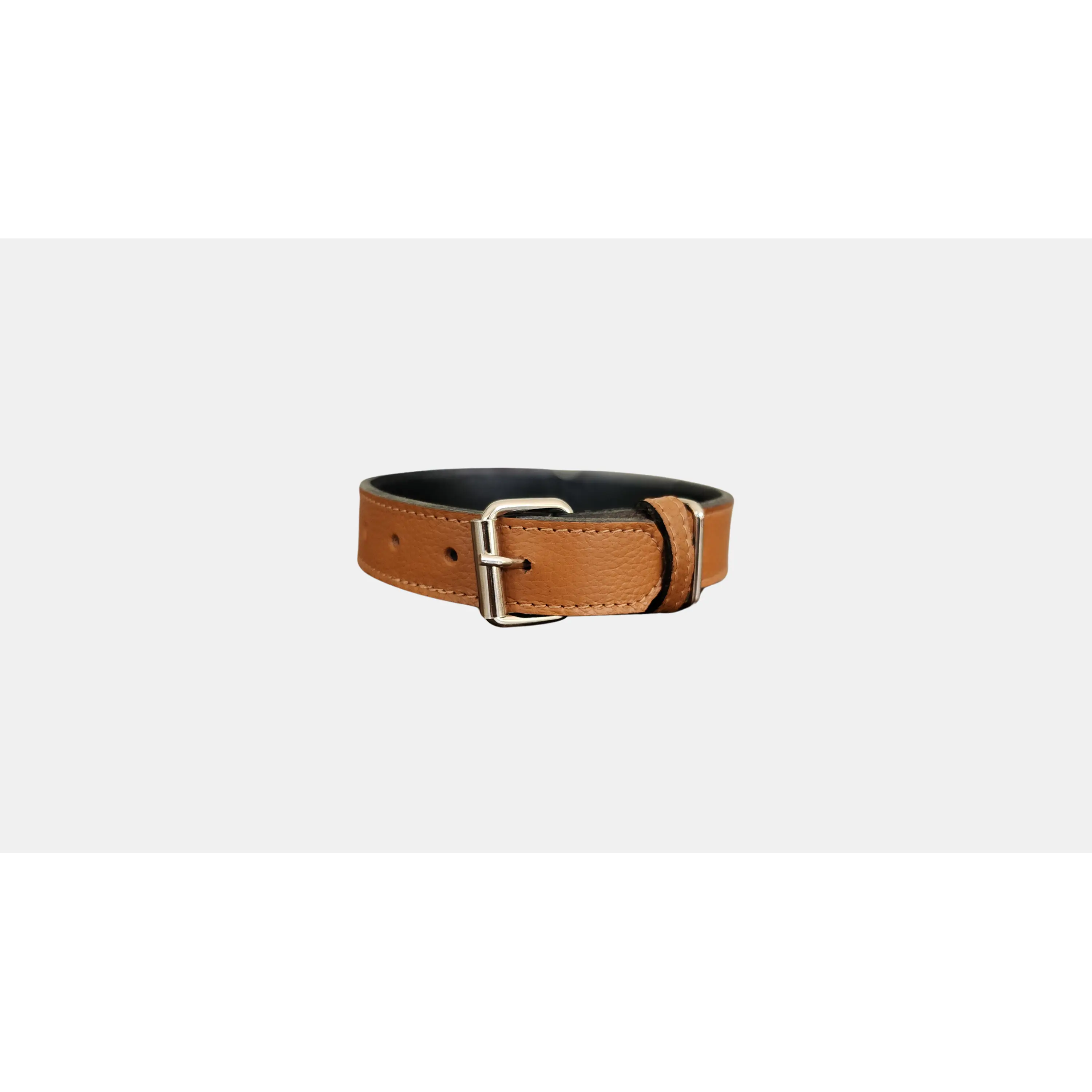 Collar Mascota Blu  1