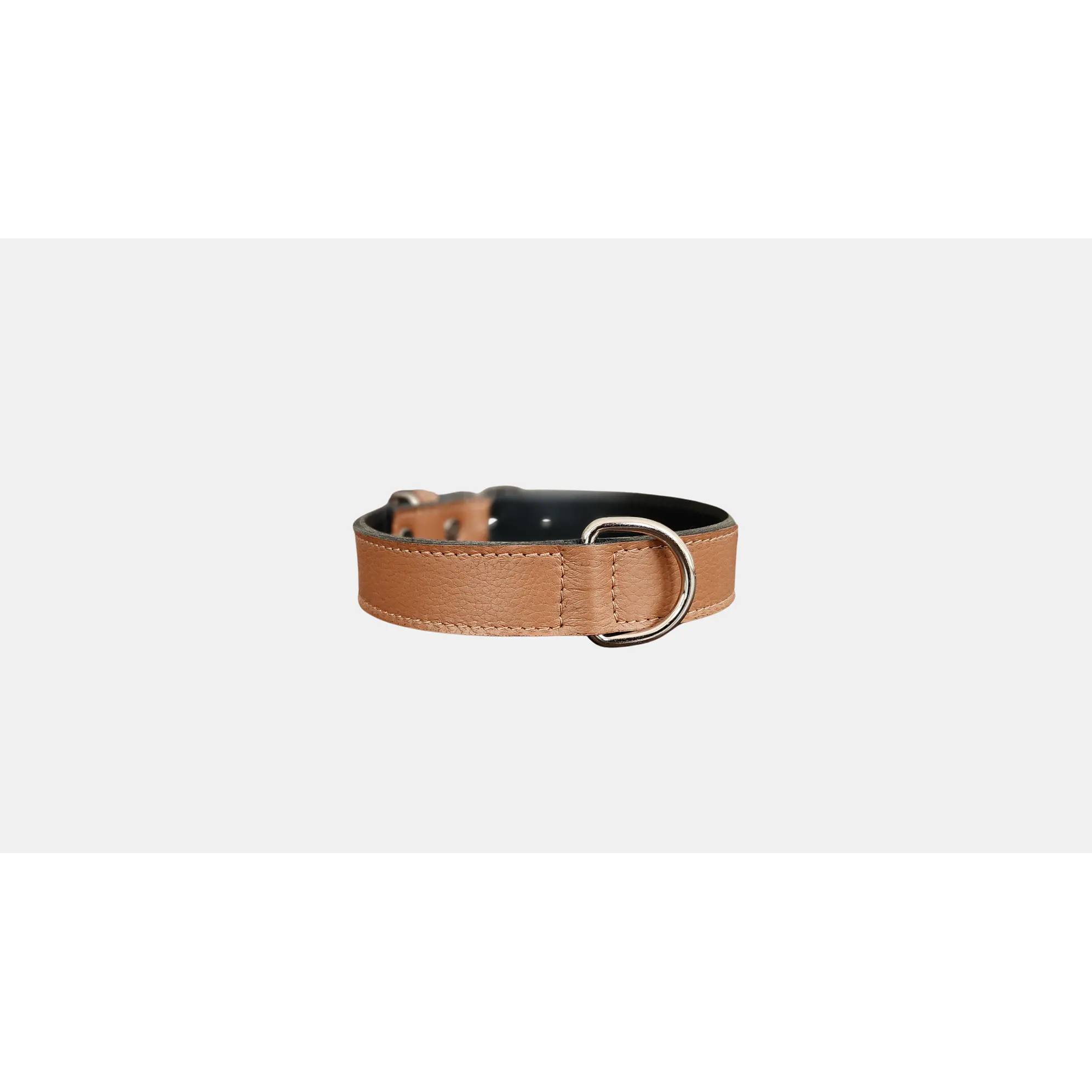 Collar Mascota Blu  2