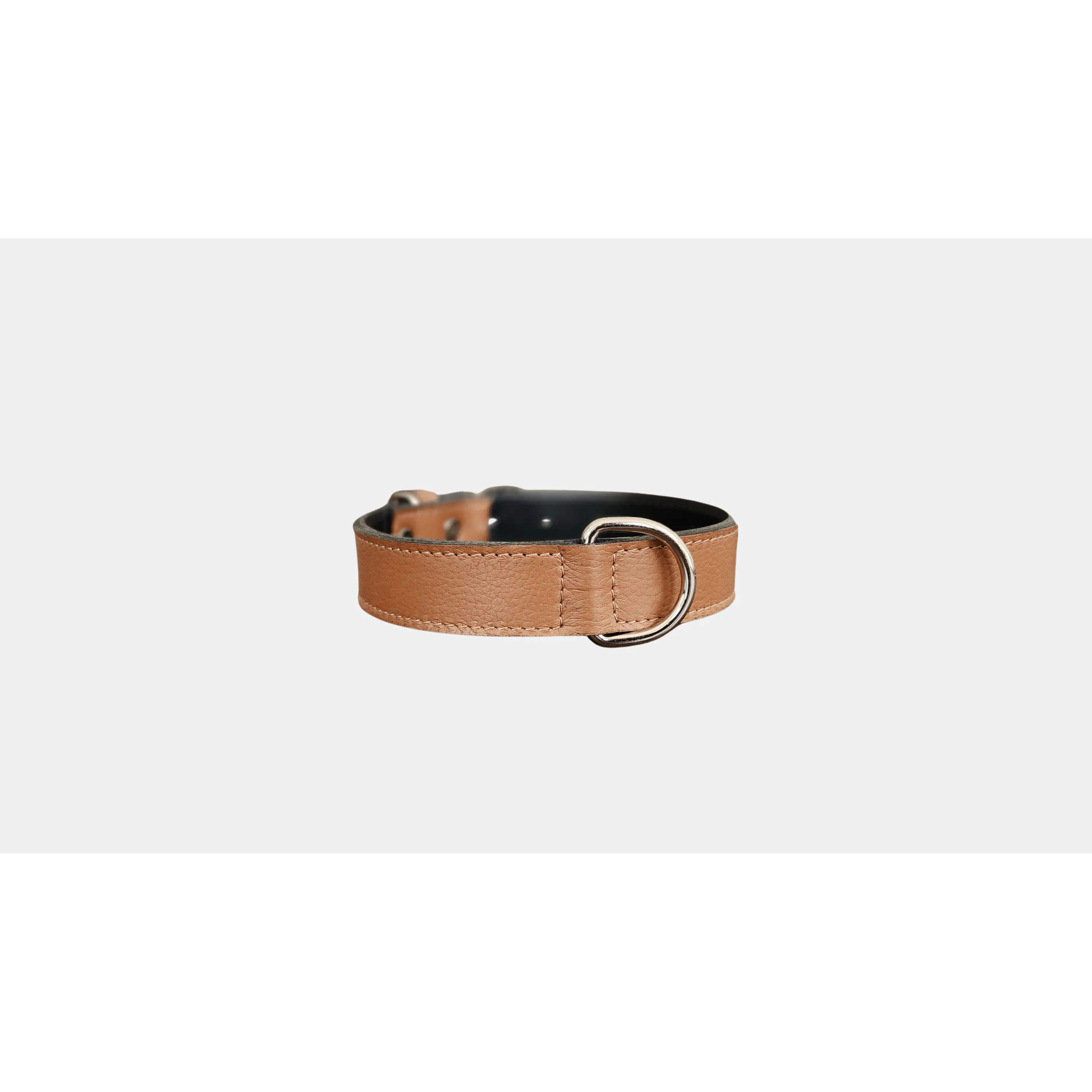 Collar Mascota Blu  2