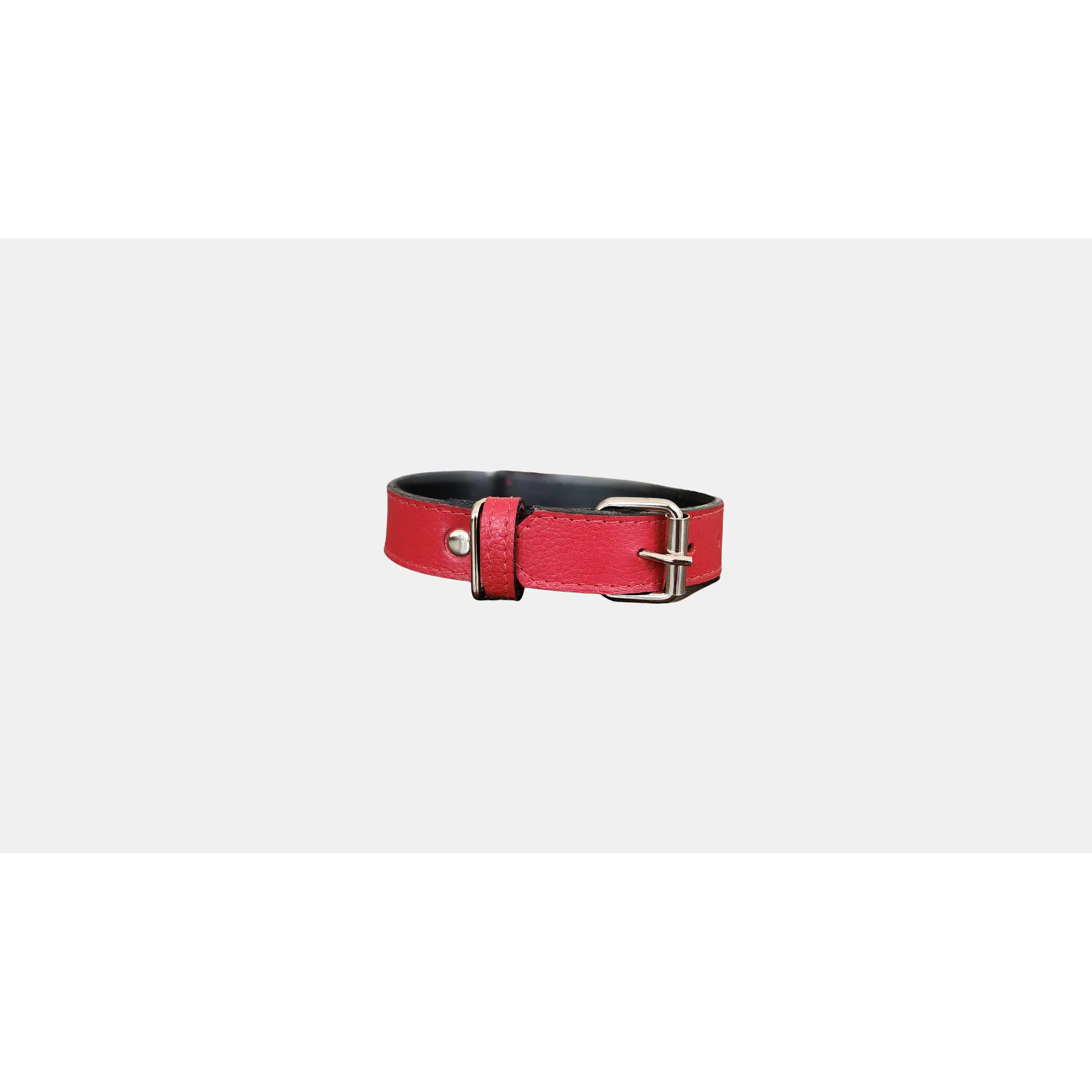 Collar Mascotas Blu  1
