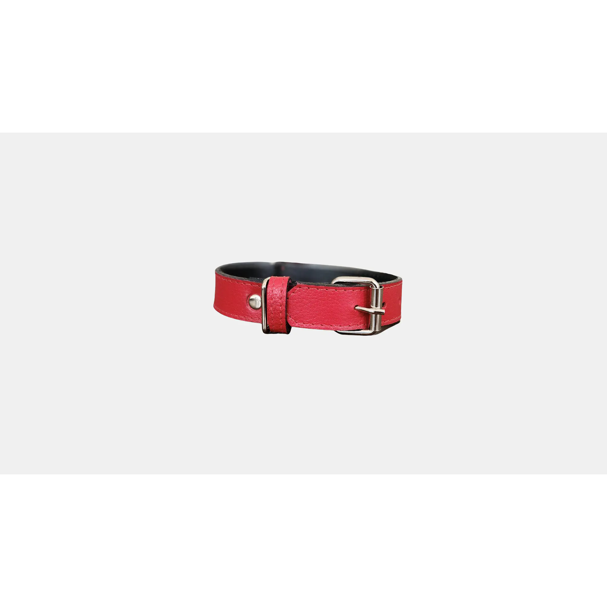 Collar Mascotas Blu Rojo 2
