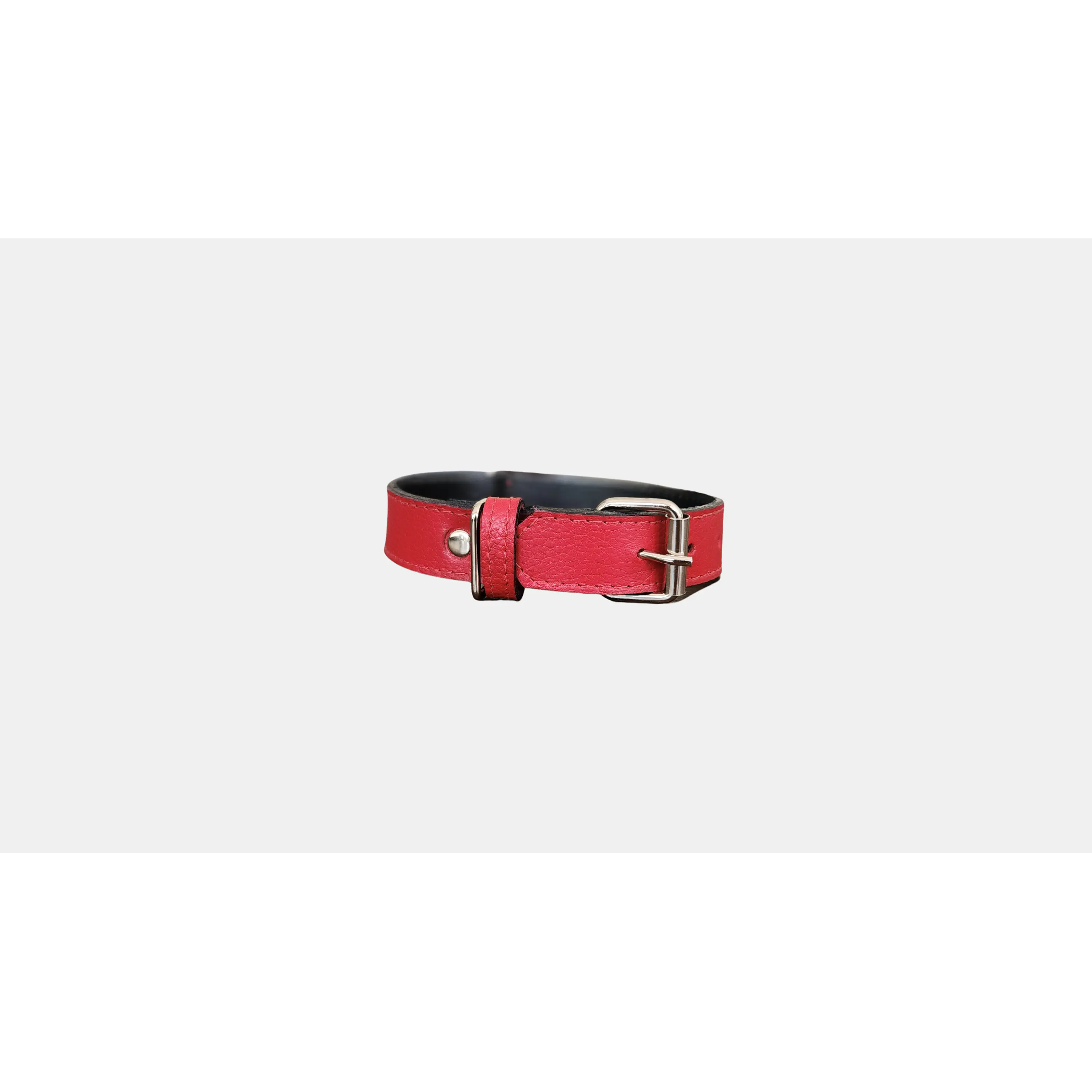 Collar Mascotas Blu  1
