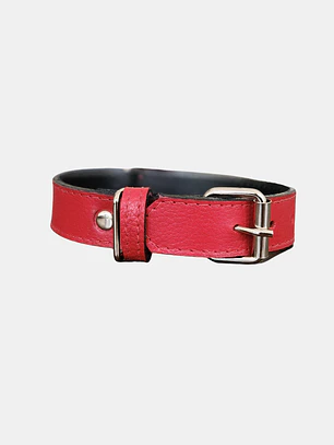 Collar Mascotas Blu Rojo
