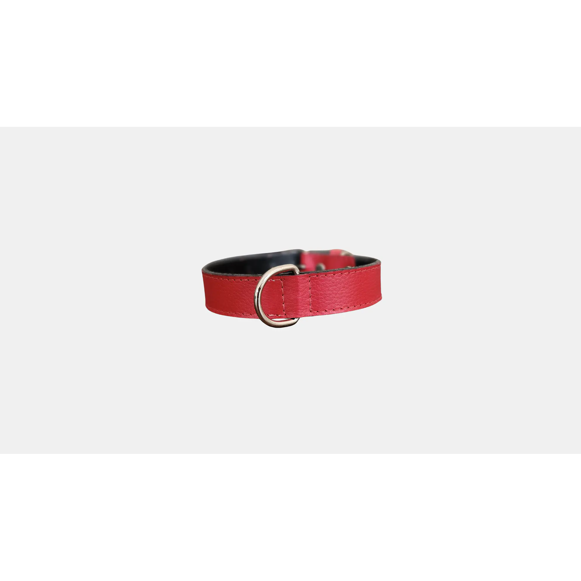 Collar Mascotas Blu  2