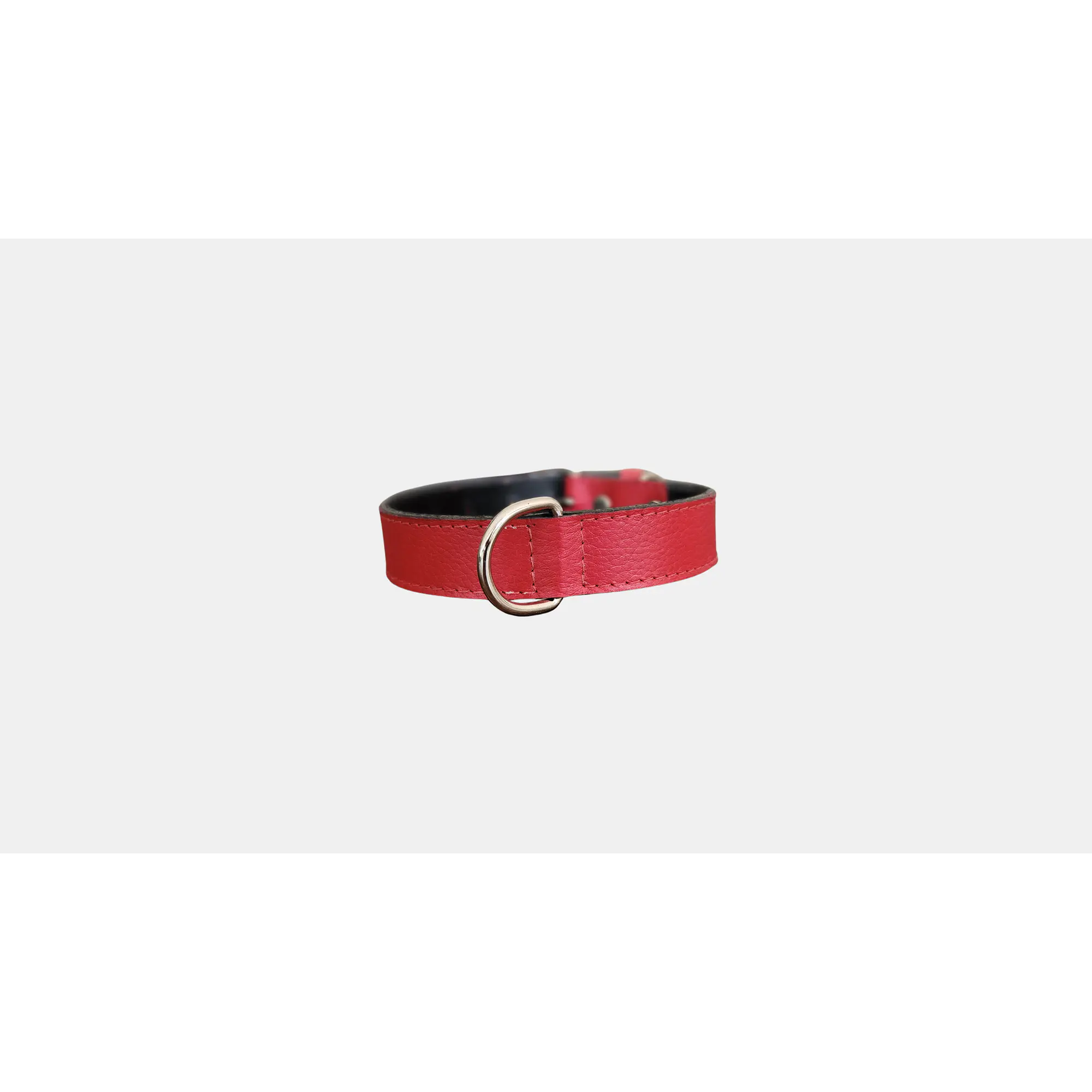 Collar Mascotas Blu Rojo 3