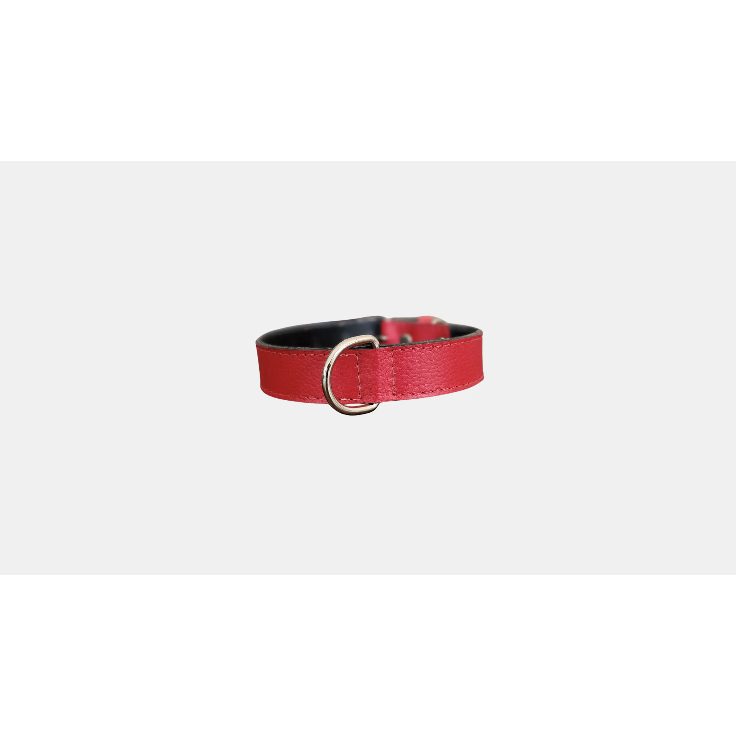 Collar Mascotas Blu  2