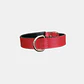 Collar Mascotas Blu  - Miniatura 2
