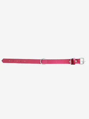Collar Mascotas Blu Rojo