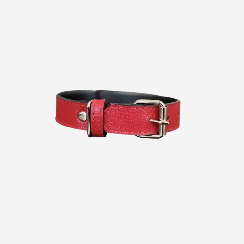 Collar Mascotas Blu - Color Rojo -Cuero LWG - Hecho a mano 1