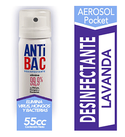Desinfectante Aerosol Anti Bac 55 cc Tanax