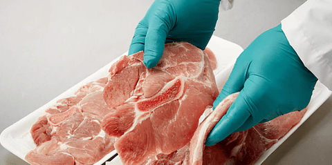 GUANTES DE SEGURIDAD NINJA EXPLORER - CAJA 100 UNIDADES