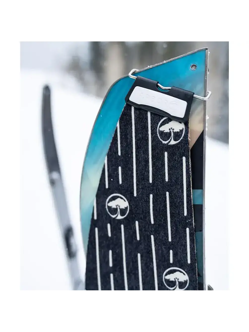 Pieles Splitboard Arbor 4