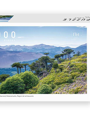 Puzzle Reserva Nacional Malalcahuello FBT