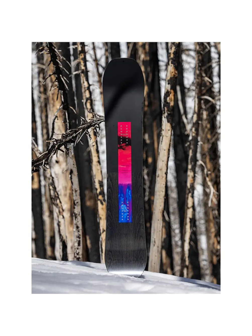 Tabla Snowboard Arbor Rain 2026 161 4