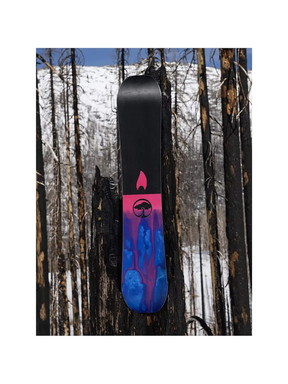 Tabla Snowboard Arbor Rain 2026 161 5