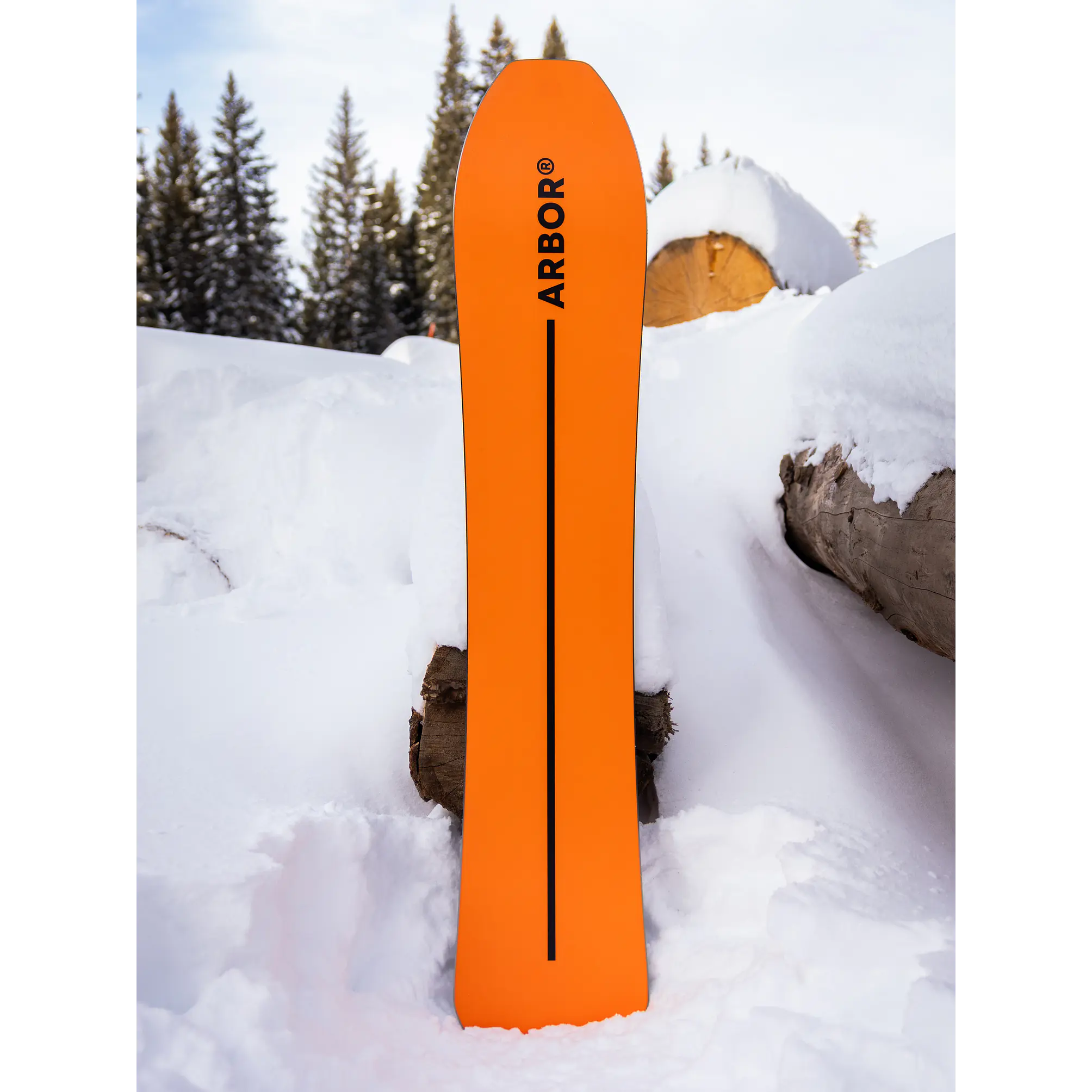 Tabla Snowboard Arbor Padre 161 5