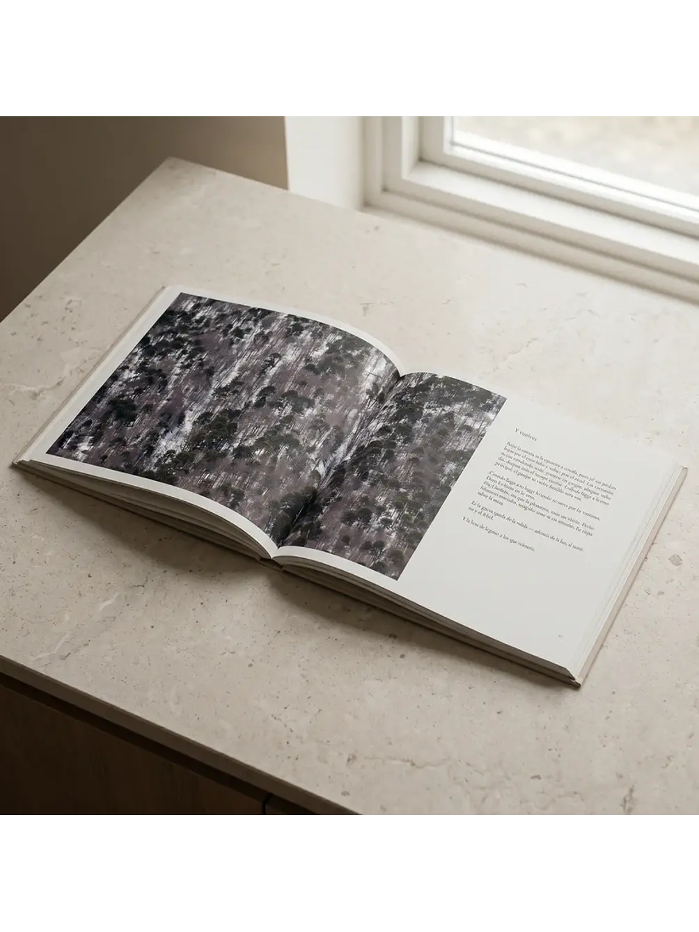 Libro Malalcahuello, Territorio Andino | Francisco Boetsch 6