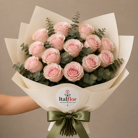 Ramo de 20 Rosas Rosadas