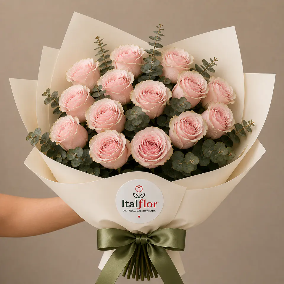 Ramo de 20 Rosas Rosadas 1