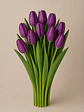 Tulipán Morado 10 varas - Miniatura 2