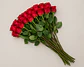 Rosa Roja 25 varas - Miniatura 2