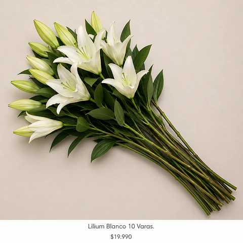 Lilium Blanco 10 varas