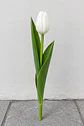 Tulipán blanco 10 varas (paquete) - Miniatura 1