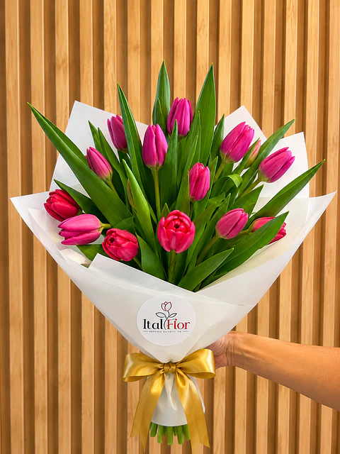 Ramo de Tulipanes Fucsia 10 varas