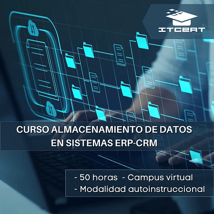 Curso de Almacenamiento de Datos en Sistemas ERP-CRM