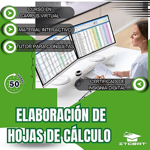 Curso de Elaboración de Hojas de Cálculo (50 horas)