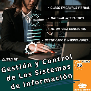 Curso de Gestión y Control de Los Sistemas de Información (75 horas)