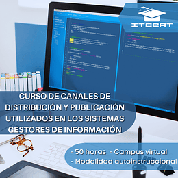 Curso de Canales de Distribución y Publicación Utilizados en los Sistemas Gestores de Información