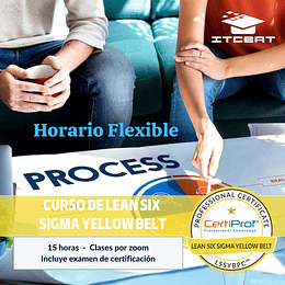 Curso de Lean Six Sigma Yellow Belt (Incluye examen de certificación)