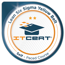 Lean Six Sigma Yellow Belt : Curso Autoinstruccional 