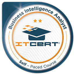 Business Intelligence Analyst : Curso Autoinstruccional 