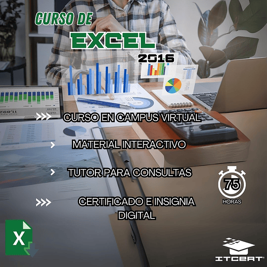 Curso de Excel 2016 (75 horas)