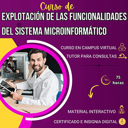 Curso Explotación de las Funcionalidades del Sistema Microinformático (75 horas)