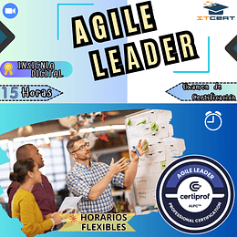 Curso de Agile Leader (Incluye examen de certificación)