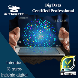 Curso de Big Data Certified Professional (Incluye examen de certificación)