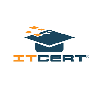 ADS Manager Foundation: Curso E-learning (Incluye insignia Digital)