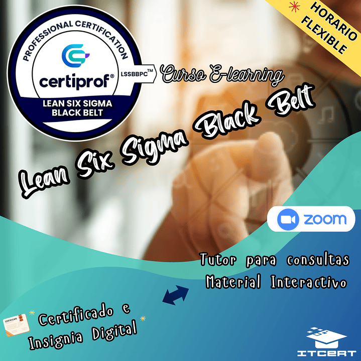 Lean Six Sigma Black Belt : Curso E-learning (Incluye insignia Digital) 1