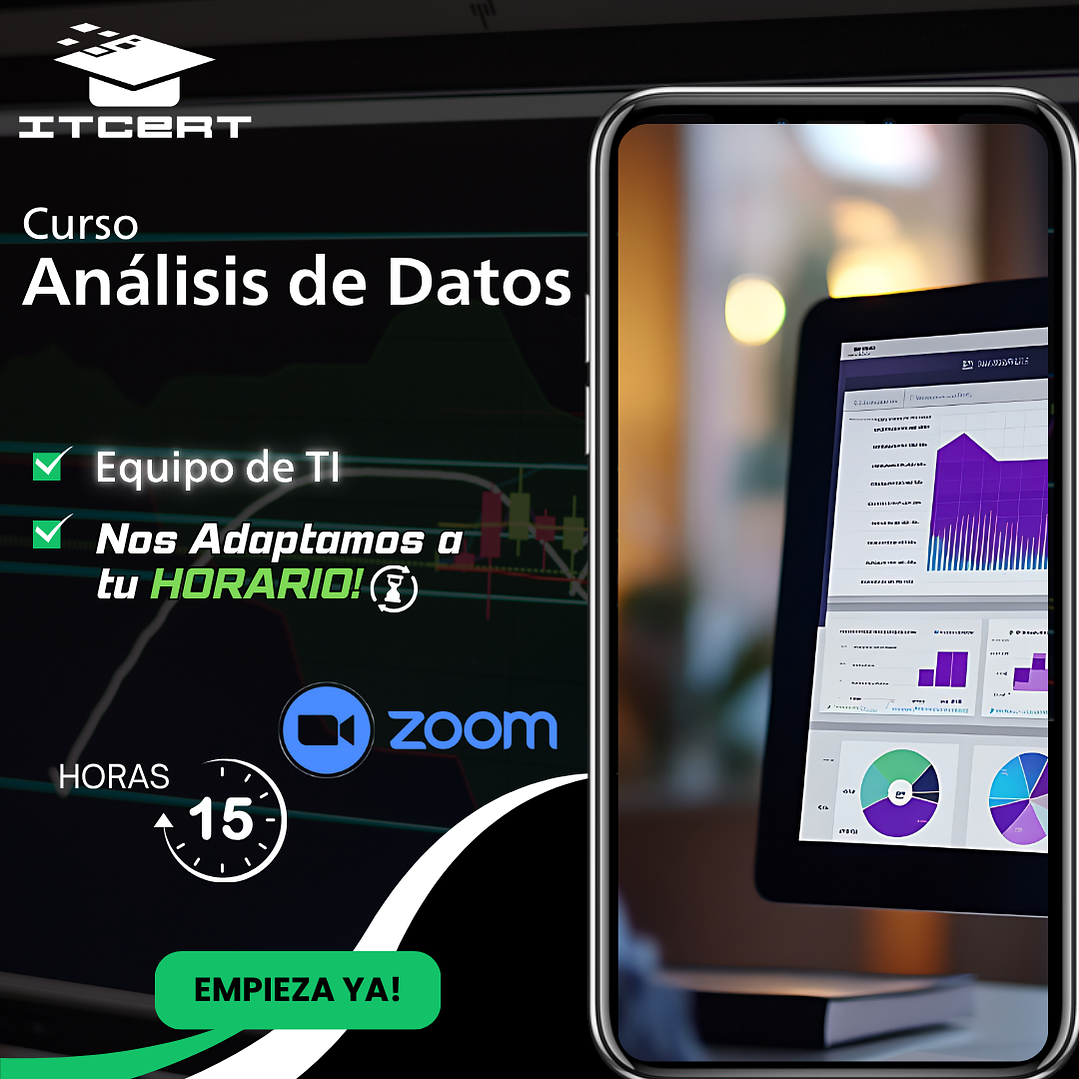 Curso de Análisis de Datos - Nivel Técnico (equipo de TI) - 15 horas 1