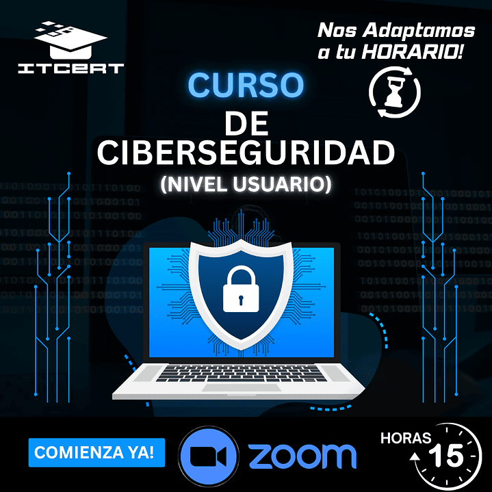 Curso de Ciberseguridad - Nivel Usuario (Perfil Gerencial) - 15 horas 1