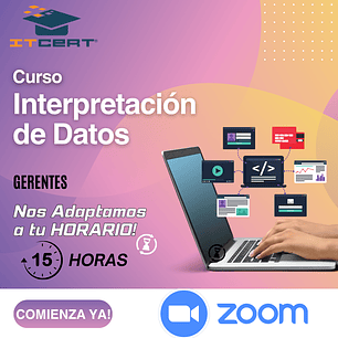 Curso de Interpretación de Datos (Perfil Gerencial) - 15 horas