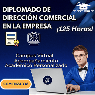 Diplomado de Dirección comercial en la empresa (125 horas)
