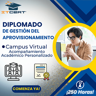 Diplomado de Gestión del Aprovisionamiento (250 horas)