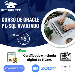Curso de Oracle PL/SQL Avanzado 