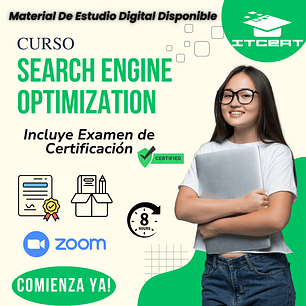 Curso Search Engine Optimization (Incluye examen de certificación)