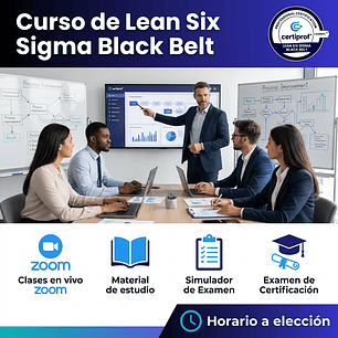 Curso de Lean Six Sigma Black Belt (Incluye examen de certificación)
